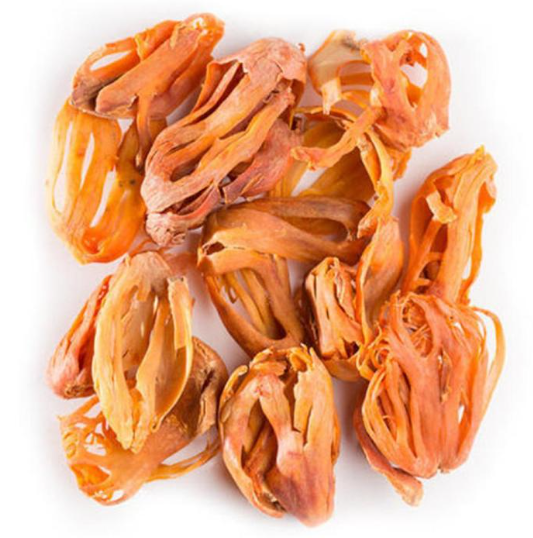 জয়িত্রি 5g